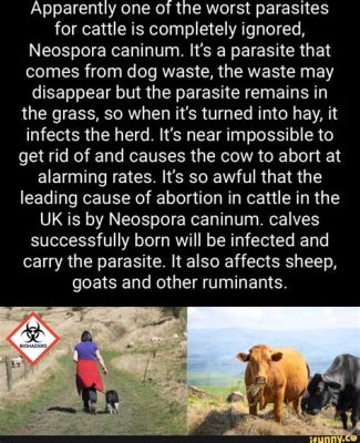  Neospora! Un Parasito Cunning que Causa Problemas en Animales de Granja